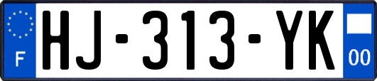 HJ-313-YK