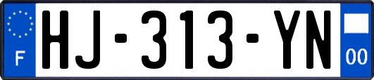 HJ-313-YN