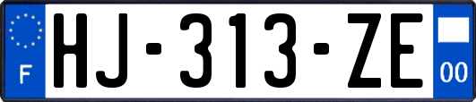 HJ-313-ZE