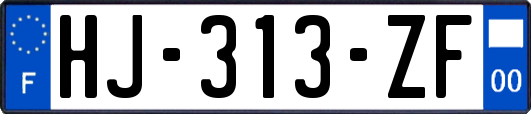 HJ-313-ZF
