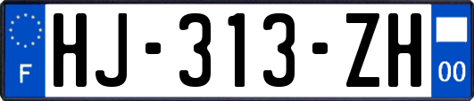 HJ-313-ZH