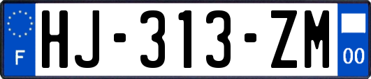 HJ-313-ZM