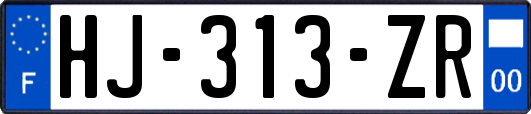 HJ-313-ZR