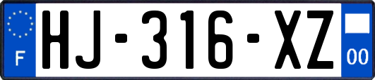 HJ-316-XZ