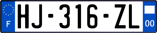HJ-316-ZL