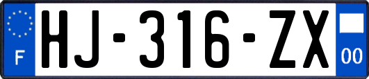 HJ-316-ZX