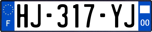 HJ-317-YJ