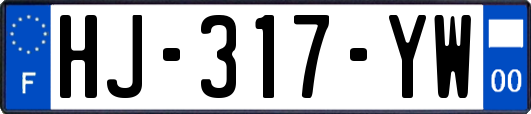 HJ-317-YW
