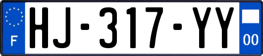 HJ-317-YY