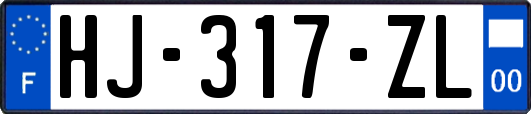 HJ-317-ZL