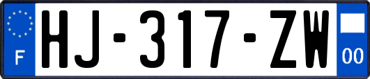 HJ-317-ZW