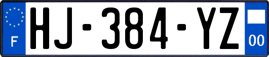 HJ-384-YZ