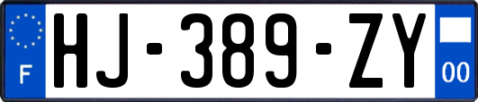 HJ-389-ZY