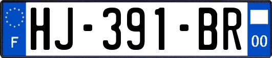 HJ-391-BR