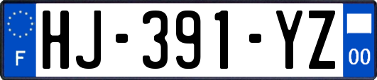 HJ-391-YZ