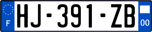 HJ-391-ZB