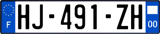 HJ-491-ZH