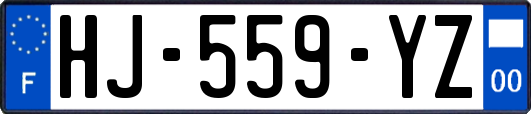 HJ-559-YZ