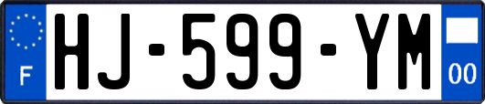 HJ-599-YM