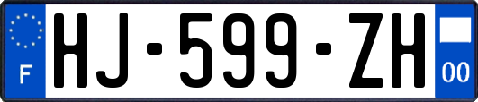 HJ-599-ZH