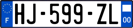 HJ-599-ZL