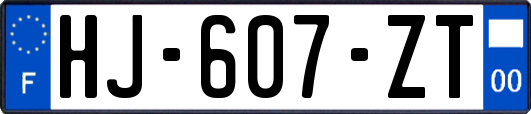 HJ-607-ZT