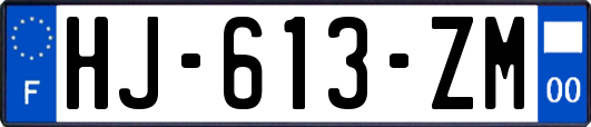 HJ-613-ZM
