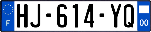 HJ-614-YQ