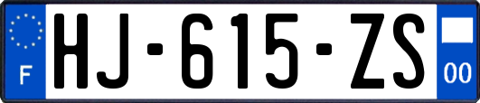 HJ-615-ZS