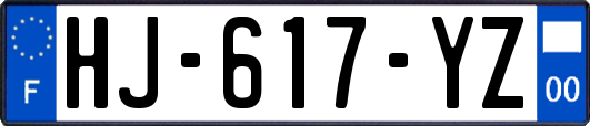 HJ-617-YZ