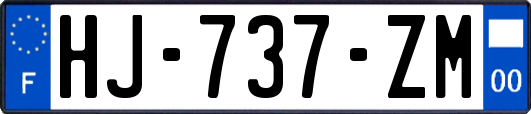 HJ-737-ZM