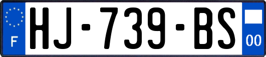 HJ-739-BS