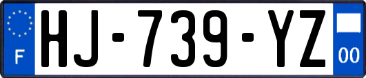 HJ-739-YZ
