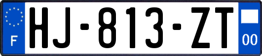 HJ-813-ZT