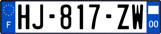 HJ-817-ZW