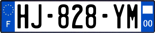 HJ-828-YM