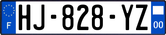 HJ-828-YZ