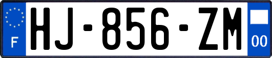 HJ-856-ZM