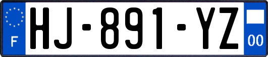 HJ-891-YZ
