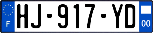 HJ-917-YD