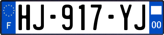 HJ-917-YJ
