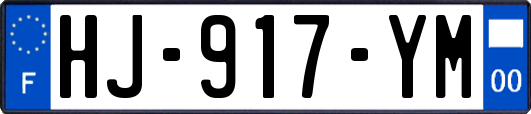 HJ-917-YM