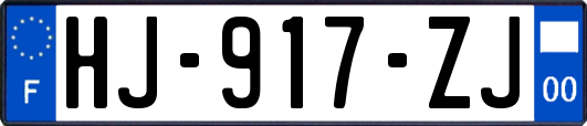 HJ-917-ZJ