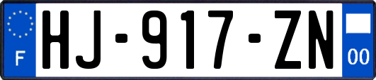 HJ-917-ZN