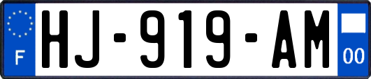 HJ-919-AM