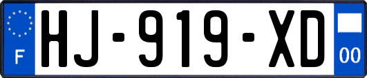 HJ-919-XD