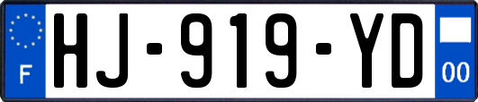 HJ-919-YD