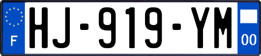 HJ-919-YM
