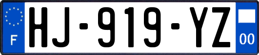 HJ-919-YZ