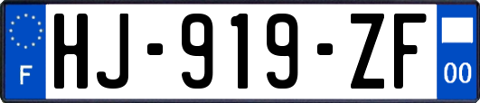 HJ-919-ZF